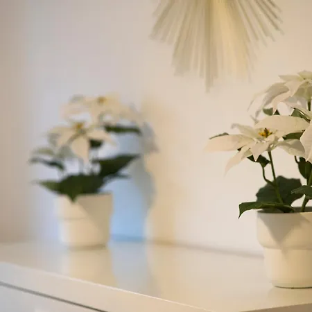 Modern Und Gemuetlich, Ferienwohnung Mit Balkon Und Netflix In Wehome Komfort